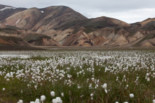 Landmannalaugar, Islande © Samuel Blanc