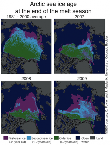 Evolution de l'âge/épaisseur de la banquise en Arctique / NSIDC