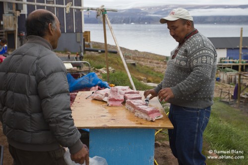 Chasseurs se partageant de la viande de baleine / Hunters sharing whale meat