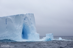 Iceberg