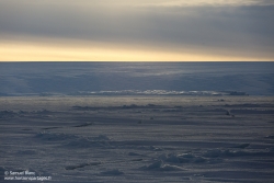 Banquise / Sea ice