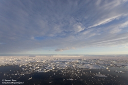 Banquise / Sea ice