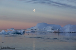 Lune et icebergs / Moon and icebergs