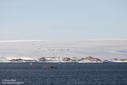 Cap Prud'hommes