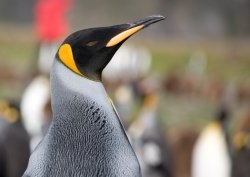 20090109_164938