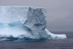 Iceberg