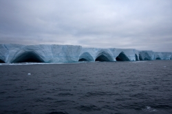 Iceberg