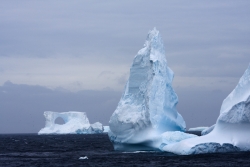 Iceberg