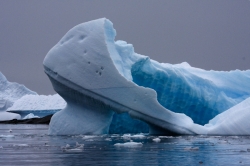 Iceberg