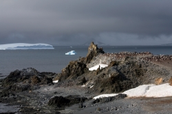 Ile Half Moon / Half Moon Island