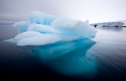 Iceberg