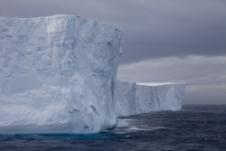 Iceberg