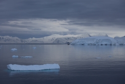 Baie Wilhelmina / Wilhelmina Bay