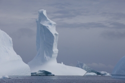 20100129_102950Iceberg