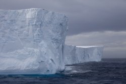 Iceberg