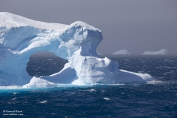 Iceberg