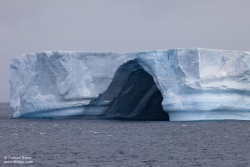 Iceberg