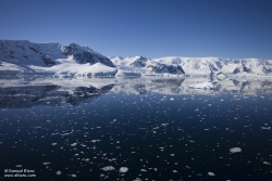 Baie Wilhelmina / Wilhelmina Bay