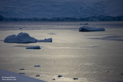 Baie d'Andvord / Andvord Bay