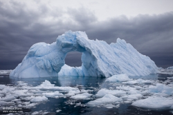 Iceberg