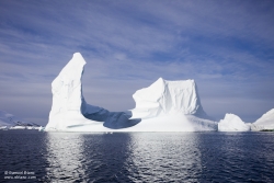 Iceberg