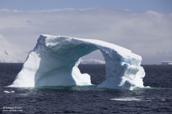 Iceberg