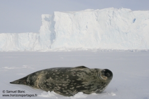 -Samuel_Blanc-20060914_151611