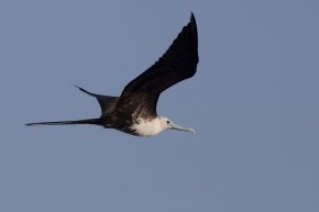 20100311_171201