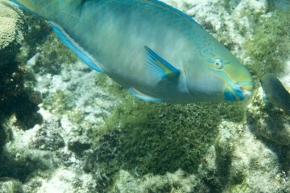 20100316_124747