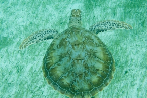 20100323_113333