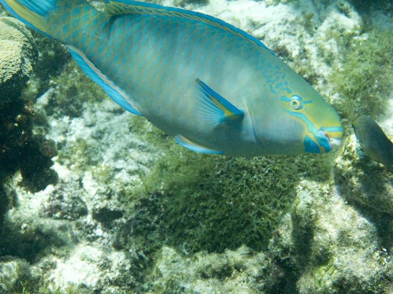 20100316_124747