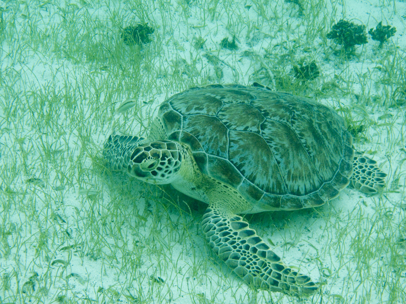 20100323_112538