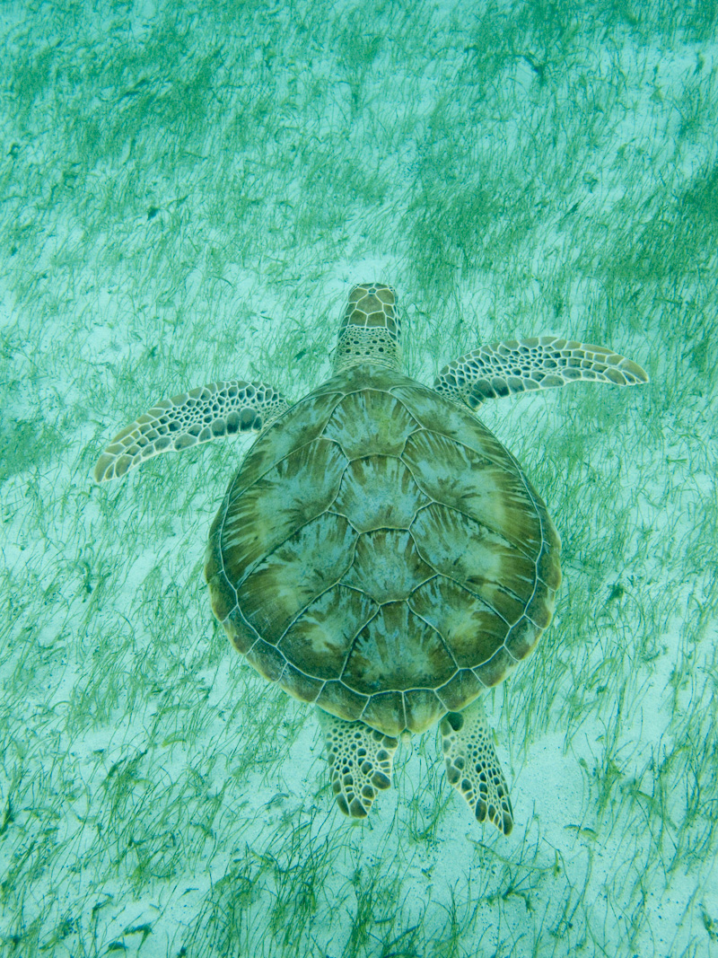 20100323_113333