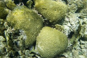 20110227_160100