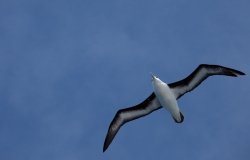 20091222_151951