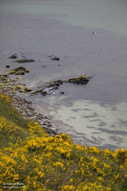20101106_151333