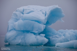 Iceberg