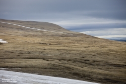 Palanderbukta