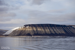 Palanderbukta