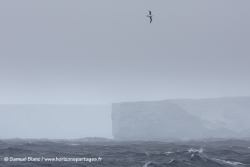Samuel_Blanc-20141103_161309