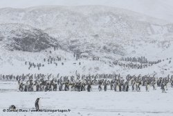 Samuel_Blanc-20141031_074741