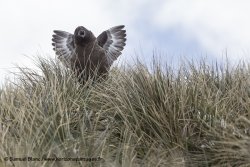 Samuel_Blanc-20141101_090651