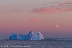 Iceberg et iceberg / Iceberg and sunse