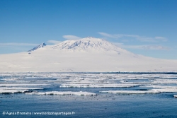 Mont Erebus / Mount Erebus