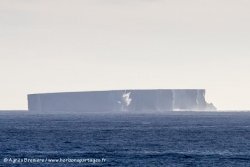 Iceberg tabulaire / Tabular iceberg