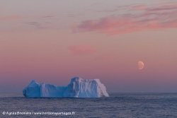 Iceberg et iceberg / Iceberg and sunse