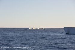 Ice shelf de Ross / Ross ice shelf