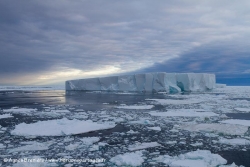 Iceberg et banquise