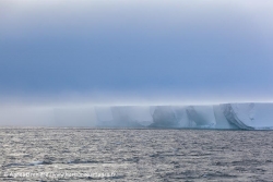 Ice-shelf de Ross