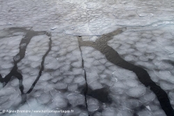 Banquise en formation / Sea ice